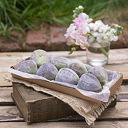 SE新作规模缩水 波兰开发商People Can Fly裁员30人